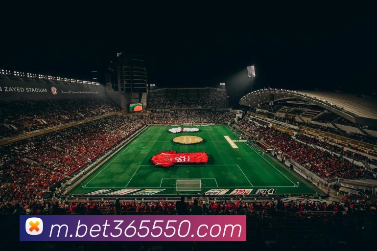 bet365中国官网APP 封面图